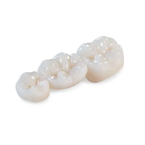 BruxZir Solid Zirconia Crowns and Bridges (4 yr)